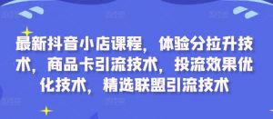 最新抖音小店课程，体验分拉升技术，商品卡引流技术，投流效果优化技术，精选联盟引流技术-无痕资源库