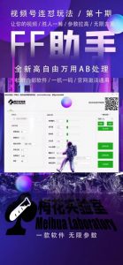 梅花实验室社群专享课视频号连怼玩法第十期课程+第二部分-FF助手全新高自由万能爆闪AB处理-无痕资源库