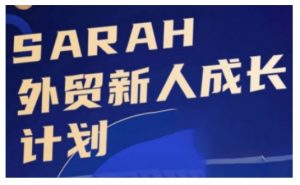 外贸新人成长计划，外贸新人学起来，偷偷让自己变强大-无痕资源库