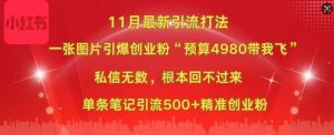 小红书11月最新图片打粉，一张图片引爆创业粉，“预算4980带我飞”，单条引流500+精准创业粉-无痕资源库