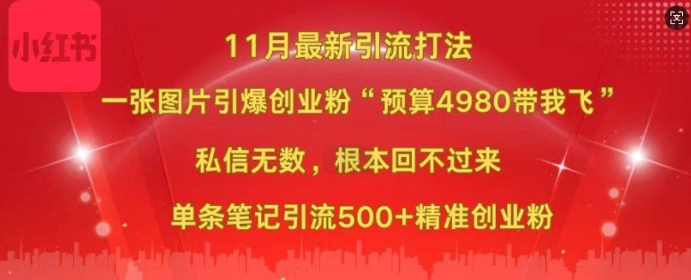小红书11月最新图片打粉，一张图片引爆创业粉，“预算4980带我飞”，单条引流500+精准创业粉-无痕资源库