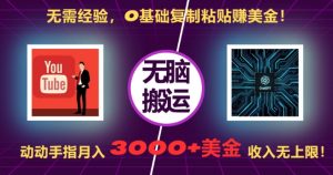 无需经验，0基础复制粘贴赚美刀，动动手指，月入3000+刀，无上限【揭秘】-无痕资源库