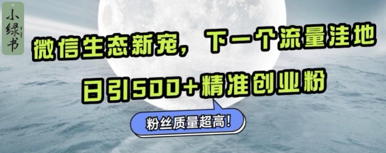 微信生态新宠小绿书:下一个流量洼地,日引500+精准创业粉,粉丝质量超高-无痕资源库