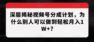 深层揭秘视频号分成计划,为什么别人可以做到轻松月入1W+?-无痕资源库
