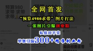 小红书“预算4980带我飞”图片打法,一张图片引爆创业粉,私信回不完,单条引流300+精准创业粉-无痕资源库