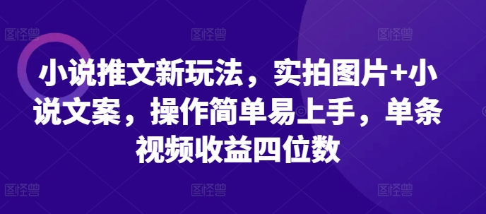 小说推文新玩法，实拍图片+小说文案，操作简单易上手，单条视频收益四位数-无痕资源库