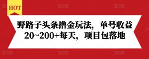 野路子头条撸金玩法，单号收益20~200+每天，项目包落地-无痕资源库