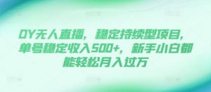 DY无人直播，稳定持续型项目，单号稳定收入500+，新手小白都能轻松月入过万【揭秘】-无痕资源库