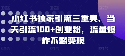小红书独家引流三重奏，当天引流100+创业粉，流量爆炸不愁变现【揭秘】-无痕资源库