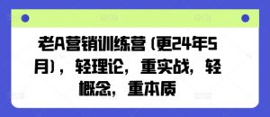 老A营销训练营(更24年11月)，轻理论，重实战，轻概念，重本质-无痕资源库