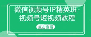 微信视频号IP精英班-视频号短视频教程-无痕资源库