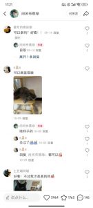小红书私人定制图项目，附赠一单4W渠道【揭秘】-无痕资源库