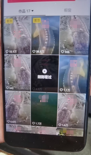 外面卖399的国学佛像原创暴力起号技术，快速起号，7天可达到一个万粉号-无痕资源库