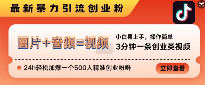 抖音最新暴力引流创业粉,3分钟一条创业类视频,24h轻松加爆一个500人精准创业粉群【揭秘】-无痕资源库