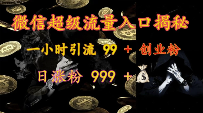 微信超级流量入口揭秘:一小时引流 99 + 创业粉,日涨粉 999 +-无痕资源库