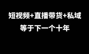 短视频+直播带货+私域等于下一个十年，大佬7年实战经验总结-无痕资源库