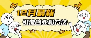 12月最新引流创业粉方法，方法非常简单，适用于多平台-无痕资源库