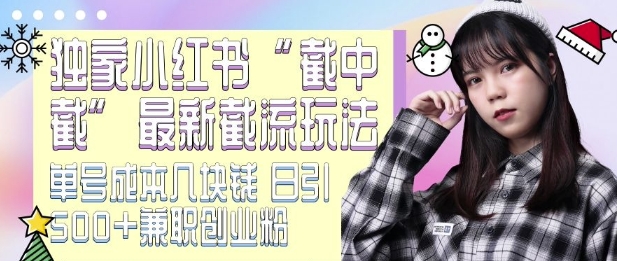 最新小红书截流玩法 独家截中截 单号成本几块钱 日引500+CY粉JZ粉-无痕资源库