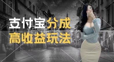 支付宝分成计划新玩法，利用交通事故视频，赚收益，轻松月入过W，操作简单【揭秘】-无痕资源库