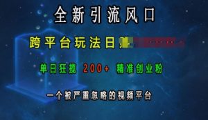 全新引流风口，跨平台玩法日入上k，单日狂揽200+精准创业粉，一个被严重忽略的视频平台-无痕资源库
