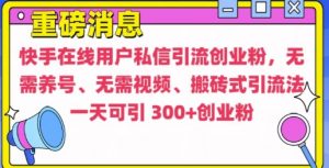 快手最新引流创业粉方法,无需养号、无需视频、搬砖式引流法【揭秘】-无痕资源库