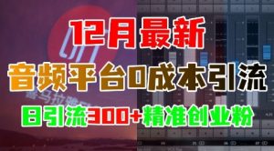 12月最新：音频平台0成本引流，日引流300+精准创业粉-无痕资源库
