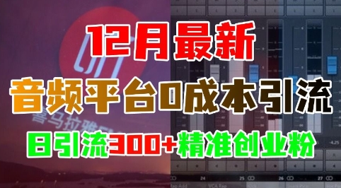12月最新：音频平台0成本引流，日引流300+精准创业粉-无痕资源库