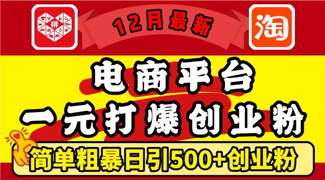 12月最新：电商平台1元打爆创业粉，简单粗暴日引500+精准创业粉，轻松月入过W【揭秘】-无痕资源库