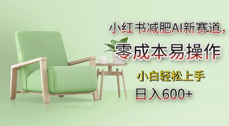 小红书减肥AI新赛道,零成本易操作,日入多张,小白轻松上手【揭秘】-无痕资源库