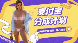 利用海外靶场射击视频,挣支付宝分成收益,轻松月入过W【揭秘】-无痕资源库