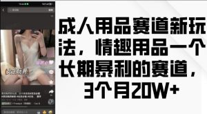 成人用品赛道新玩法，情趣用品一个长期暴利的赛道，3个月收益20个【揭秘】-无痕资源库