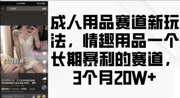 成人用品赛道新玩法，情趣用品一个长期暴利的赛道，3个月收益20个【揭秘】-无痕资源库