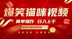 爆笑猫咪视频:简单操作,日入过K,视频号搞钱新策略【揭秘】-无痕资源库