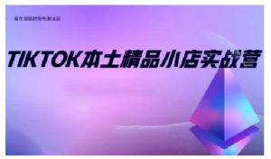 TikTok本土精品小店出海实战营，从入门到高阶，不止0-1!-无痕资源库