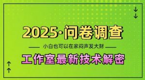 2025问卷调查最新工作室技术解密:一个人在家也可以闷声发大财,小白一天2张,可矩阵放大【揭秘】-无痕资源库