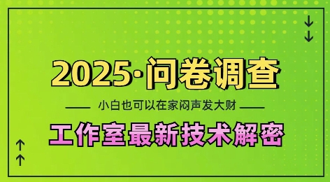 2025问卷调查最新工作室技术解密:一个人在家也可以闷声发大财,小白一天2张,可矩阵放大【揭秘】-无痕资源库