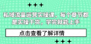 私域流量运营实操课,每个章节都是实操干货,学完就能上手-无痕资源库