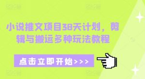 小说推文项目38天计划，剪辑与搬运多种玩法教程-无痕资源库
