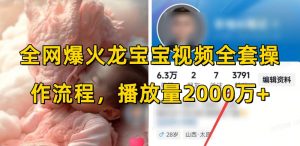全网爆火龙宝宝视频全套操作流程，播放量2000万+-无痕资源库