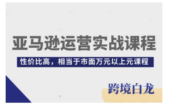 亚马逊运营实战课程,亚马逊从入门到精通,性价比高,相当于市面万元以上元课程-无痕资源库