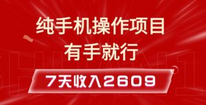 纯手机操作的小项目，有手就能做，7天收入2609+实操教程【揭秘】-无痕资源库