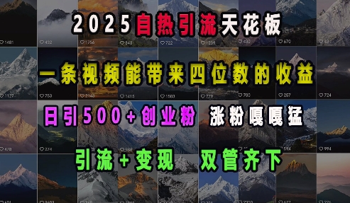 2025自热引流天花板，一条视频能带来四位数的收益，引流+变现双管齐下，日引500+创业粉，涨粉嘎嘎猛-无痕资源库