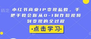 小红书商业IP变现私教,手把手教会你从0-1制作短视频到变现的全过程-无痕资源库