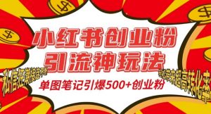 小红书创业粉引流神玩法，单图笔记引爆500+精准创业粉丝，私信狂潮接连不断-无痕资源库