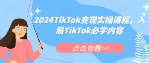 2024TikTok变现实操课程，入局TikTok必学内容-无痕资源库