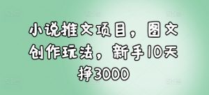 小说推文项目，图文创作玩法，新手10天挣3000-无痕资源库