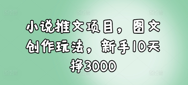 小说推文项目，图文创作玩法，新手10天挣3000-无痕资源库