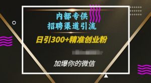 内部招聘渠道日引流300+创业粉，加爆你的微信【揭秘】-无痕资源库