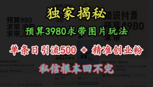 预算3980求带 图片玩法，单条日引流500+精准创业粉，私信根本回不完-无痕资源库