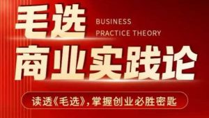 毛选商业实践论,读透《毛选》掌握创业必胜密匙-无痕资源库